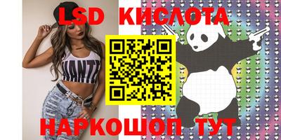прущие грибы Конаково