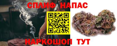 прущие грибы Конаково