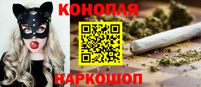 прущие грибы Конаково